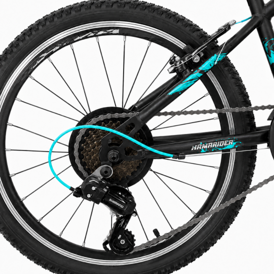 Arma TC 700 20 Jant 21 Vites Shimano Çocuk Bisikleti - Turkuaz
