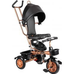 Aliş Sweet Gold Ebeveyn Kontrollü Çocuk Bisikleti - Siyah