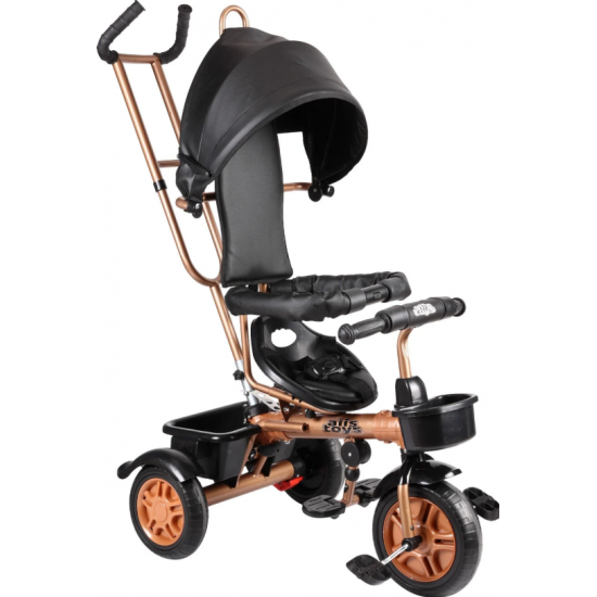 Aliş Sweet Gold Ebeveyn Kontrollü Çocuk Bisikleti - Siyah